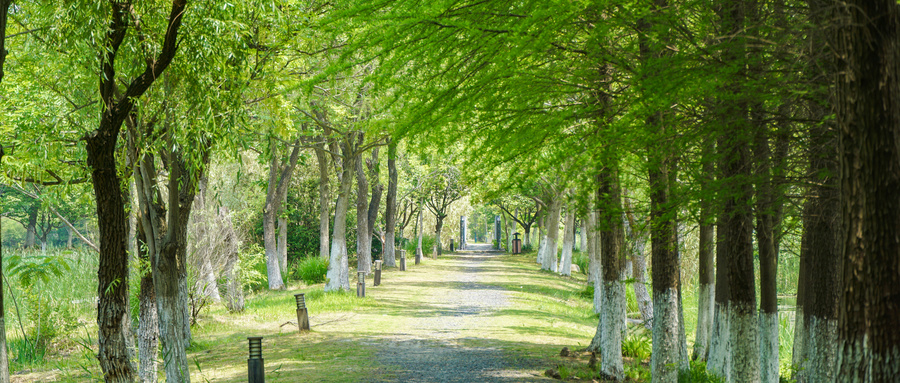 北方春季多风沙！癫痫患者如何安然度过？